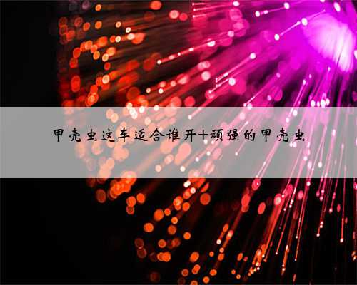 甲壳虫这车适合谁开 顽强的甲壳虫