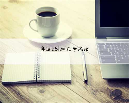 奥迪a6l加几号汽油