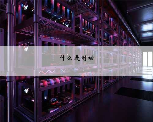 <b>什么是制动</b>