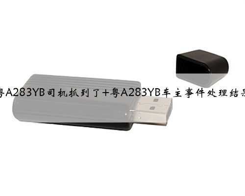 粤A283YB司机抓到了 粤A283YB车主事件处理结果