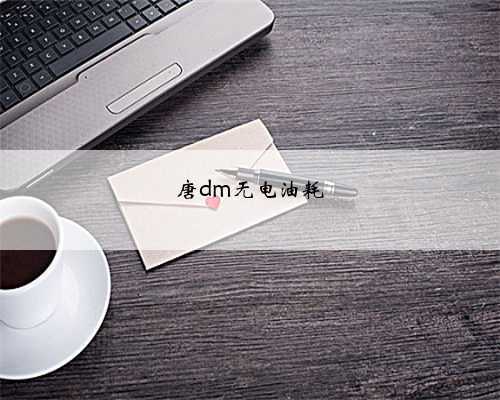 唐dm无电油耗