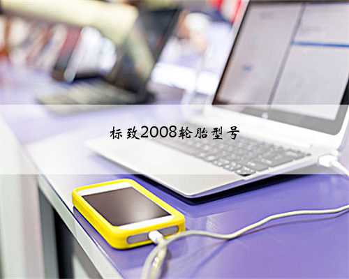 标致2008轮胎型号