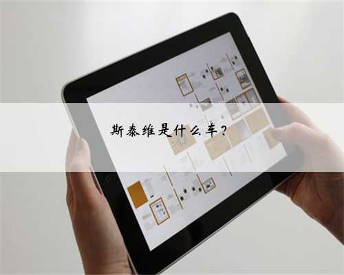 斯泰维是什么车？