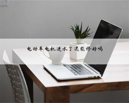 电动车电机进水了还能修好吗