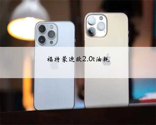 福特蒙迪欧2.0t油耗