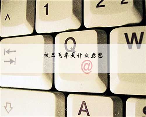 极品飞车是什么意思