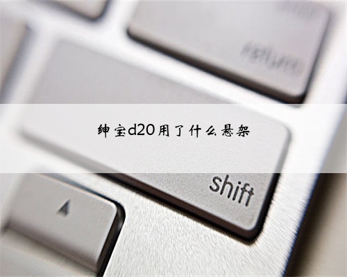绅宝d20用了什么悬架