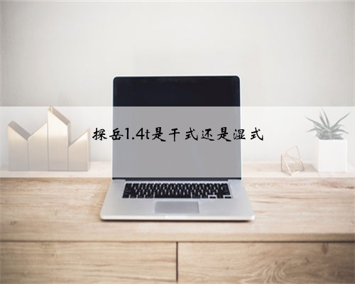 探岳1.4t是干式还是湿式