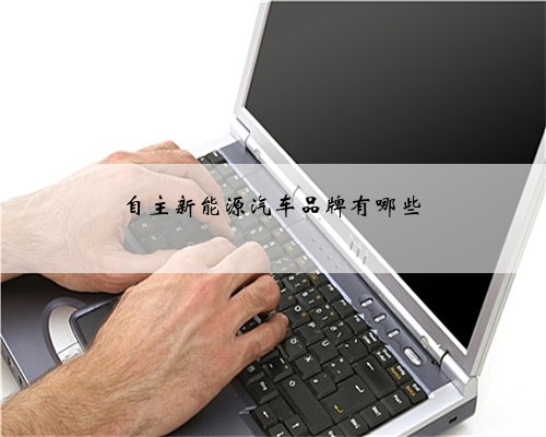 自主新能源汽车品牌有哪些
