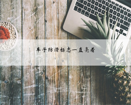 车子防滑标志一直亮着