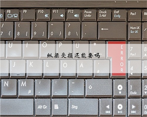 纵梁受损还能要吗
