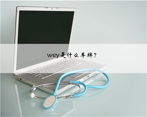 wey是什么车牌？