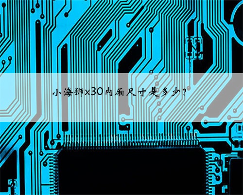 小海狮x30内厢尺寸是多少？