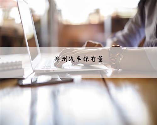 <b>郑州汽车保有量</b>