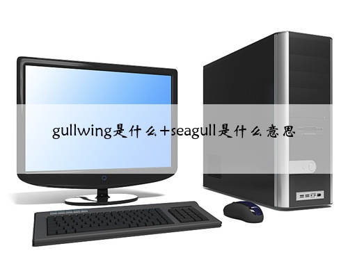 gullwing是什么 seagull是什么意思