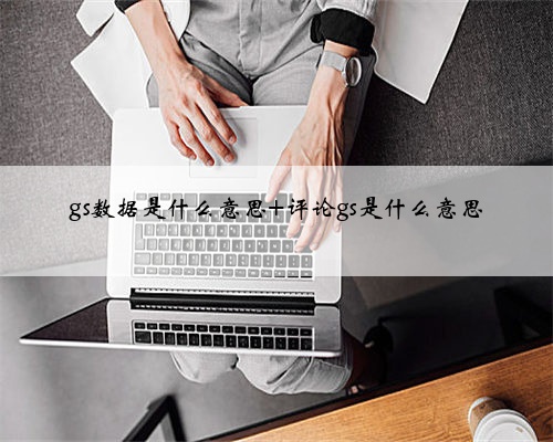 gs数据是什么意思 评论gs是什么意思