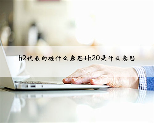 h2代表的桩什么意思 h20是什么意思