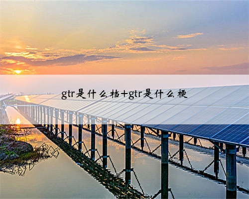 gtr是什么档 gtr是什么梗