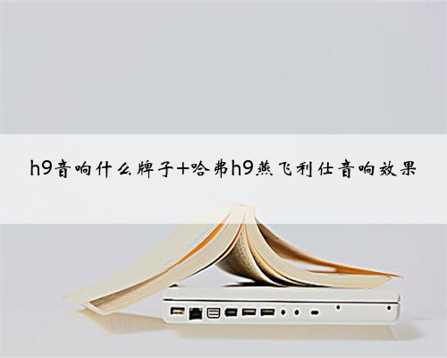 h9音响什么牌子 哈弗h9燕飞利仕音响效果