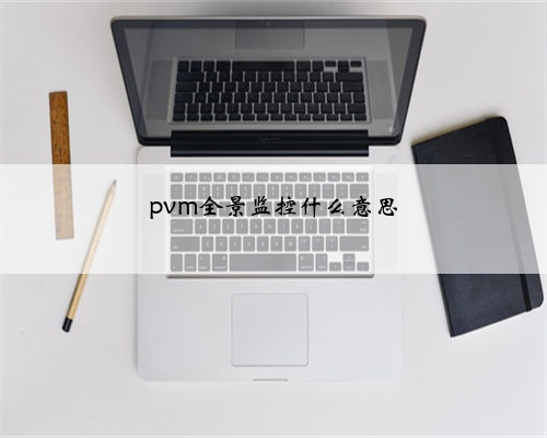 pvm全景监控什么意思