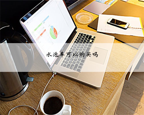 水泡车可以购买吗