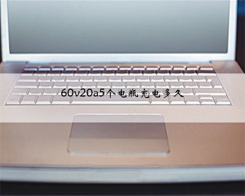 60v20a5个电瓶充电多久