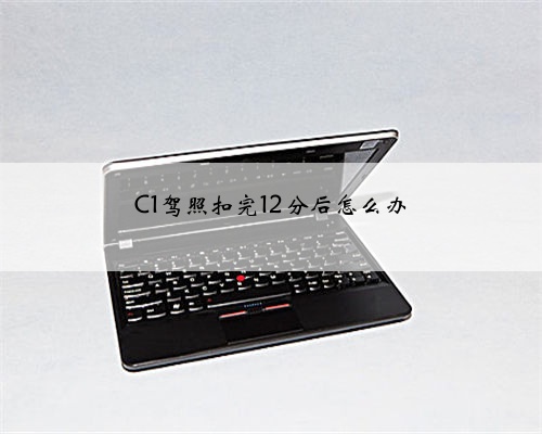 C1驾照扣完12分后怎么办