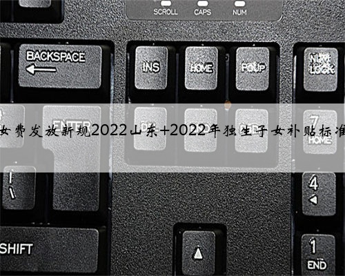 独生子女费发放新规2022山东 2022年独生子女补贴标准新消息