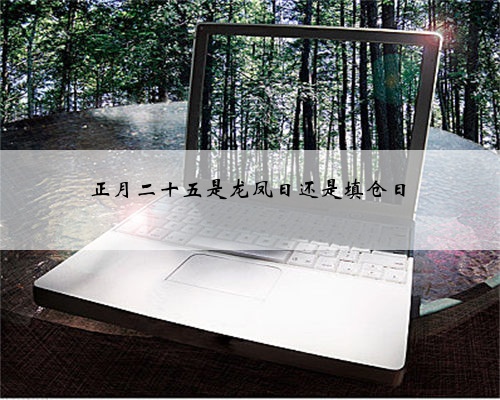 <b>正月二十五是龙凤日还是填仓日</b>