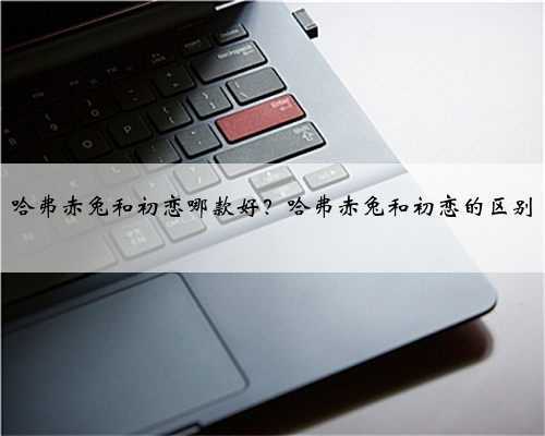 哈弗赤兔和初恋哪款好？哈弗赤兔和初恋的区别