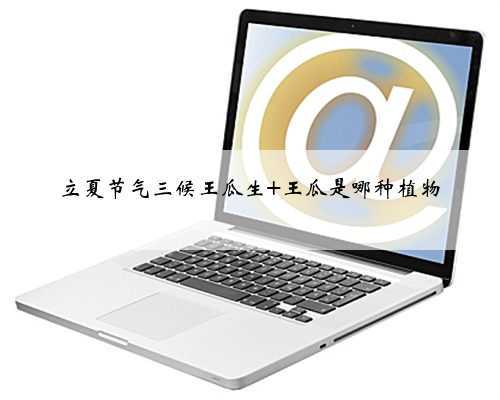 立夏节气三候王瓜生 王瓜是哪种植物