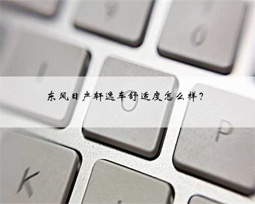东风日产轩逸车舒适度怎么样?
