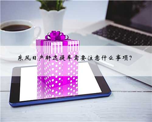 东风日产轩逸提车需要注意什么事项?