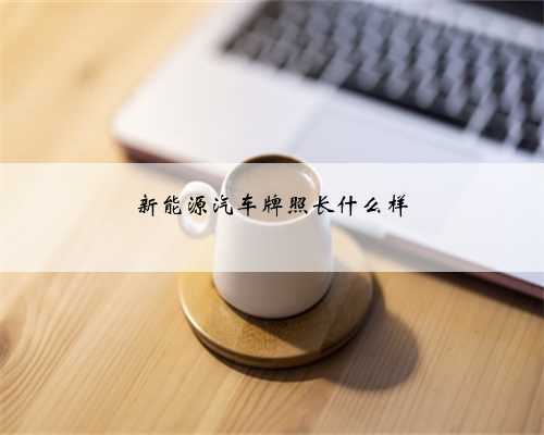 新能源汽车牌照长什么样