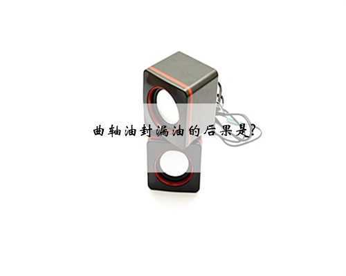曲轴油封漏油的后果是?