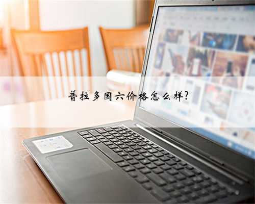 普拉多国六价格怎么样?
