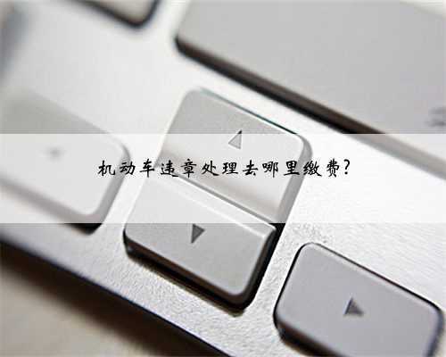 机动车违章处理去哪里缴费?