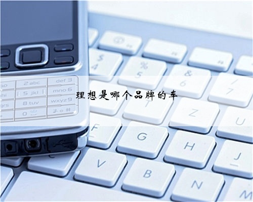 理想是哪个品牌的车