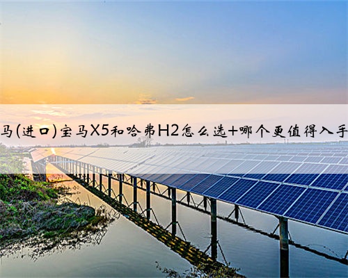 宝马(进口)宝马X5和哈弗H2怎么选 哪个更值得入手?
