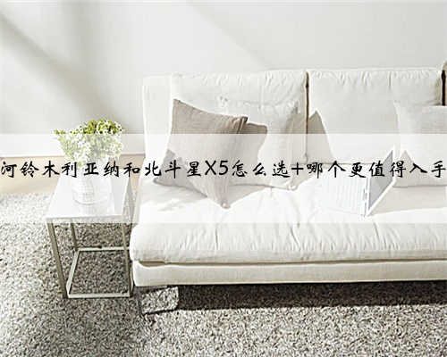 昌河铃木利亚纳和北斗星X5怎么选 哪个更值得入手?