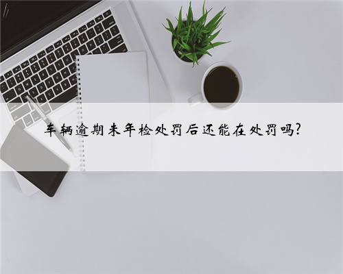 车辆逾期未年检处罚后还能在处罚吗?