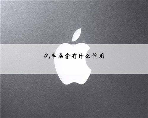 汽车桑拿有什么作用