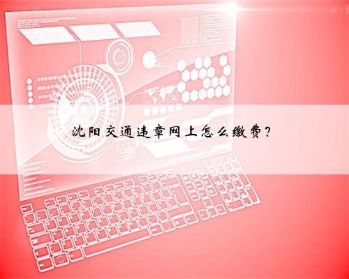 沈阳交通违章网上怎么缴费?