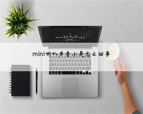 mini喇叭声音小是怎么回事