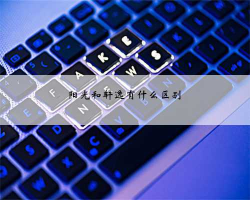 阳光和轩逸有什么区别