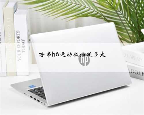 哈弗h6运动版油耗多大