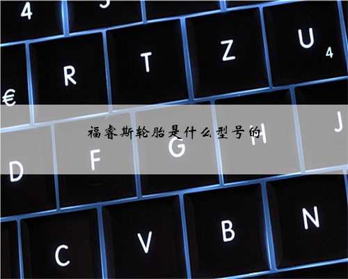 福睿斯轮胎是什么型号的