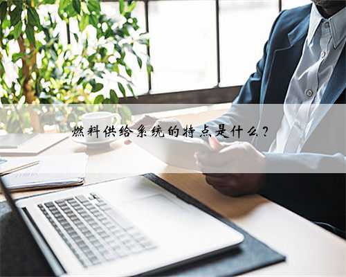 燃料供给系统的特点是什么？
