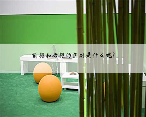 前驱和后驱的区别是什么呢?