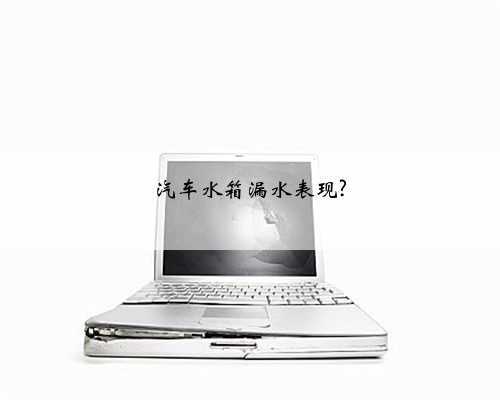 汽车水箱漏水表现?